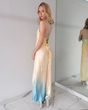 Baby Blue Print Open Back Maxi Dress