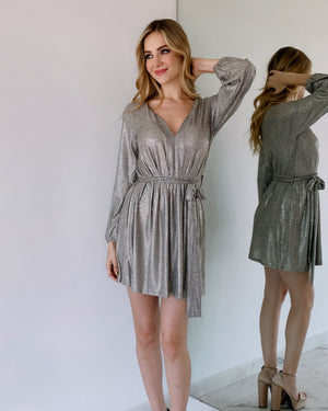 Silver Shinny Dress